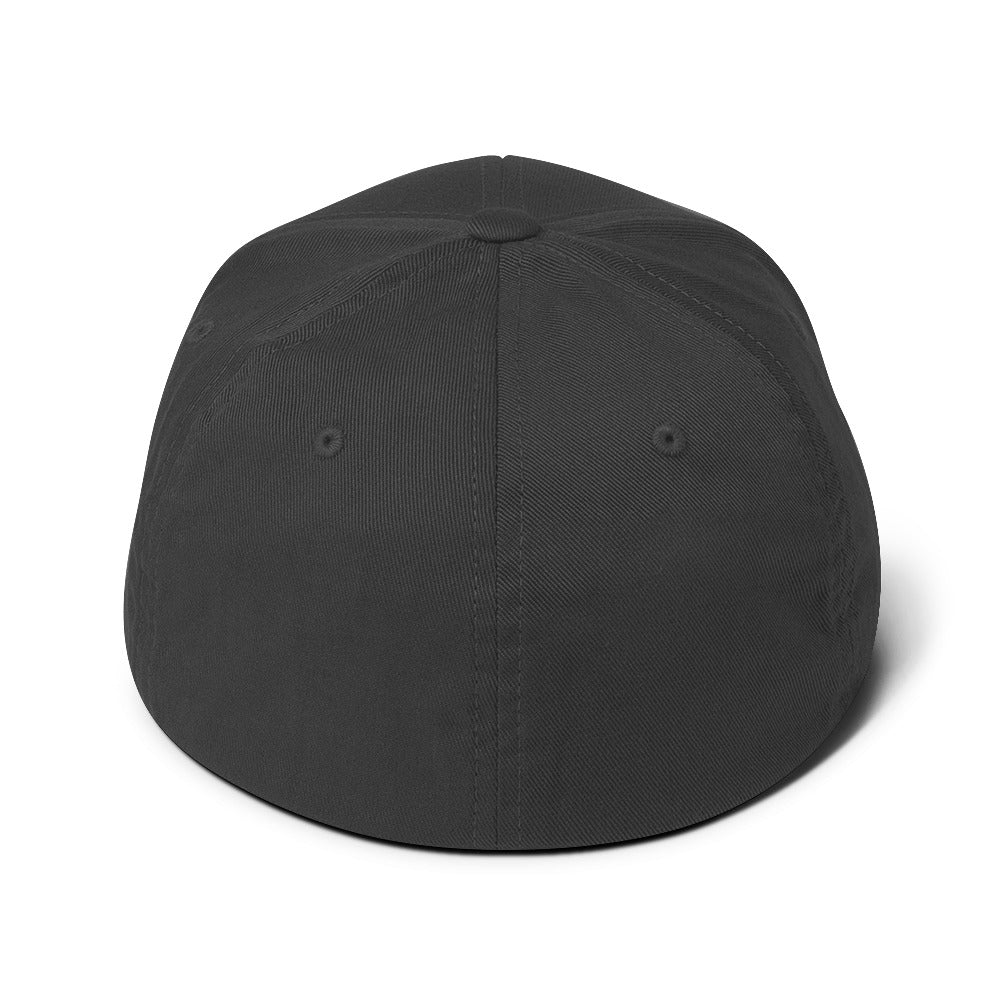 Soild House Flexfit Hat - Dark Grey